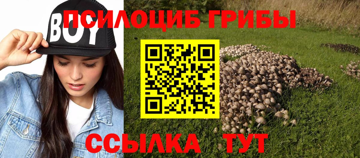 Псилоцибиновые грибы ЛСД Кумертау